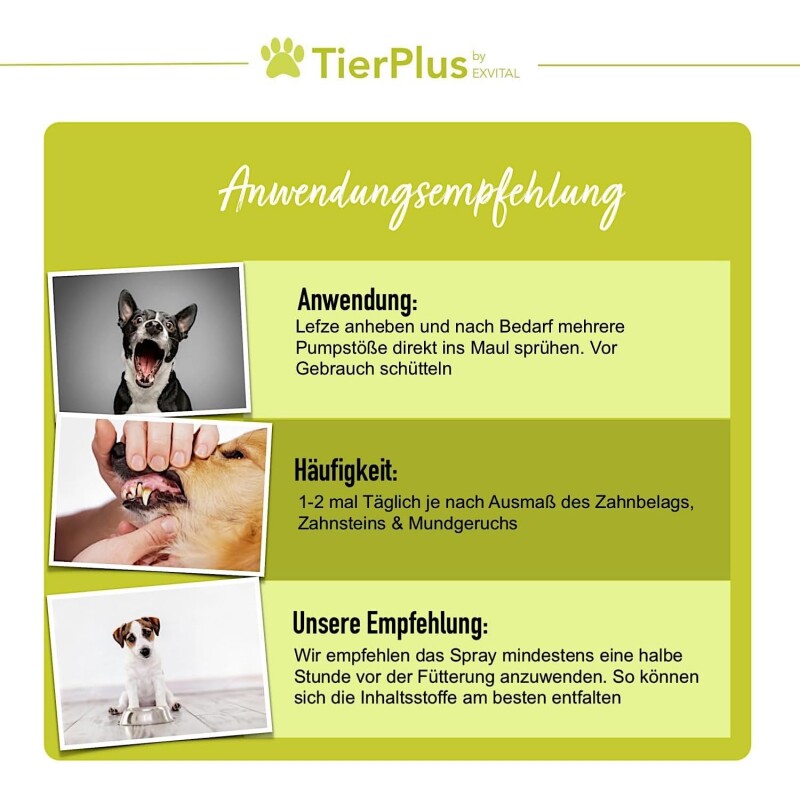 TierPlus ® Dentalspray für Hunde
