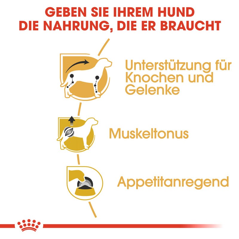ROYAL CANIN Dachshund Adult Mousse 12x85 g