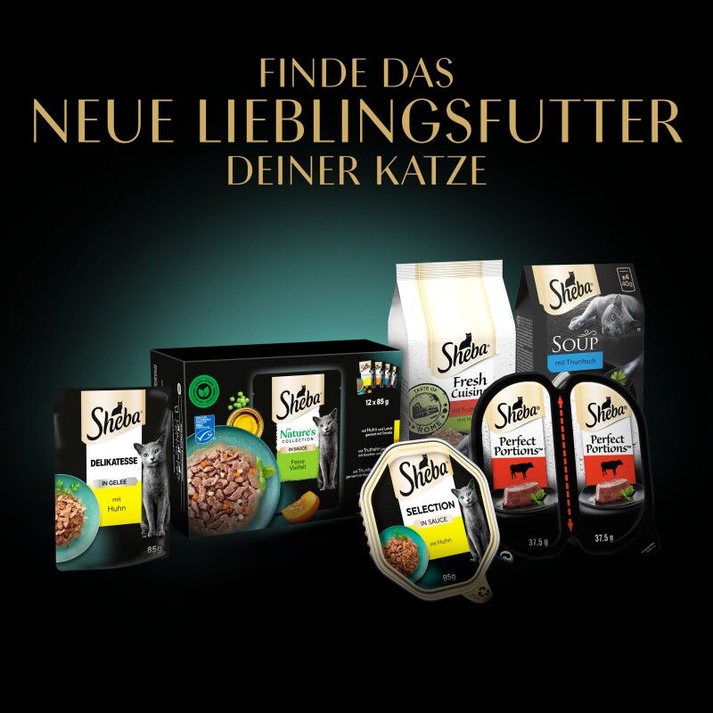 Sheba Sauce Collection 22 x 85 g mit Truthahn und Gemüse, in Sauce