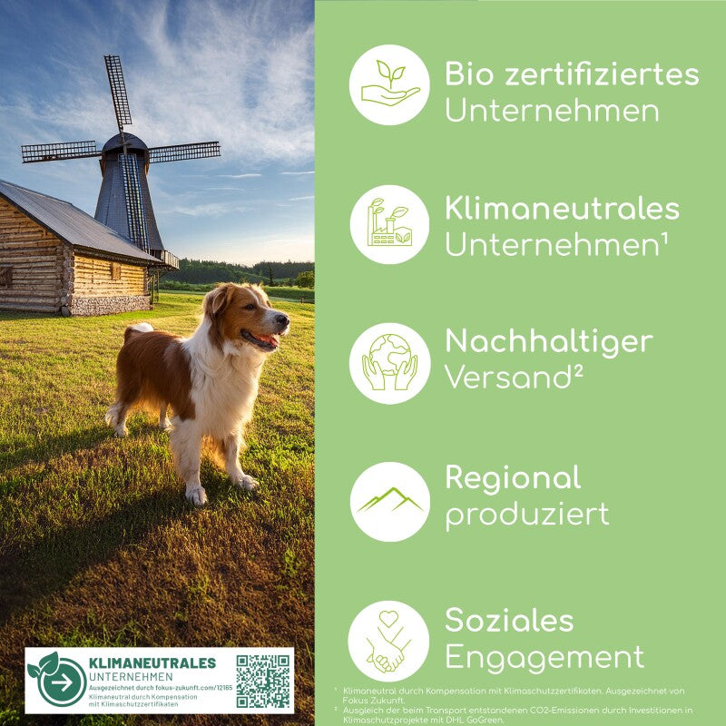 Wolfsbacher Natur Bachblüten Einsamkeit