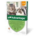 Advantage bolha elleni spot-on 4kg alatti macskáknak 4x0,4ml