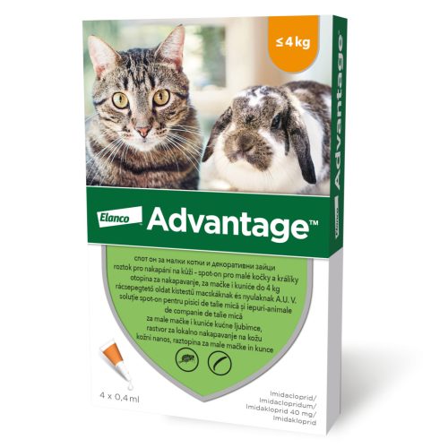 Advantage bolha elleni spot-on 4kg alatti macskáknak 4x0,4ml