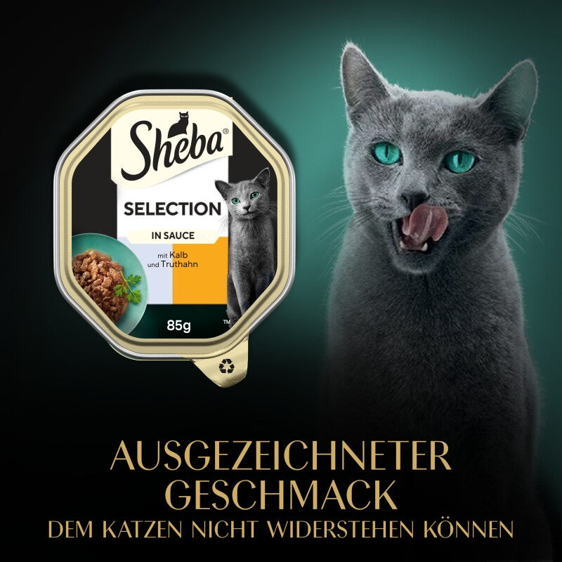 Sheba Selection in Sauce 22x85 g Kalb und Truthahn