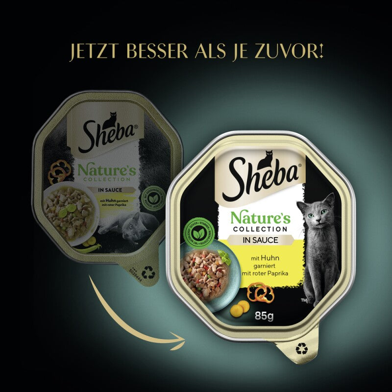 Sheba Nature´s Collection 22 x 85g in Sauce Truthahn und Pute