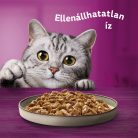 Whiskas Casserole macska tasak MP szárnyas 4x85g