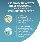 PURINA ONE STERILCAT Marhában gazdag száraz macskaeledel 800g