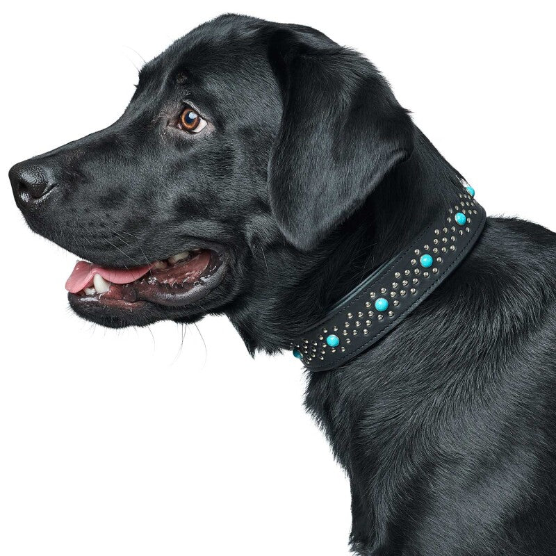 Hunter Halsband Madona schwarz 45 cm