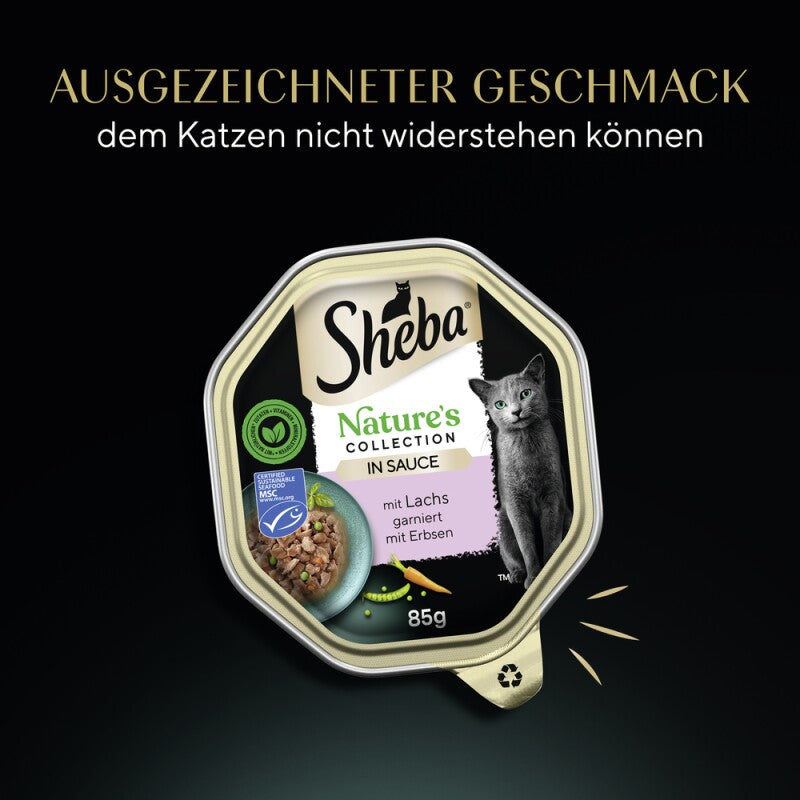 Sheba Nature´s Collection 22 x 85g in Sauce Truthahn und Pute