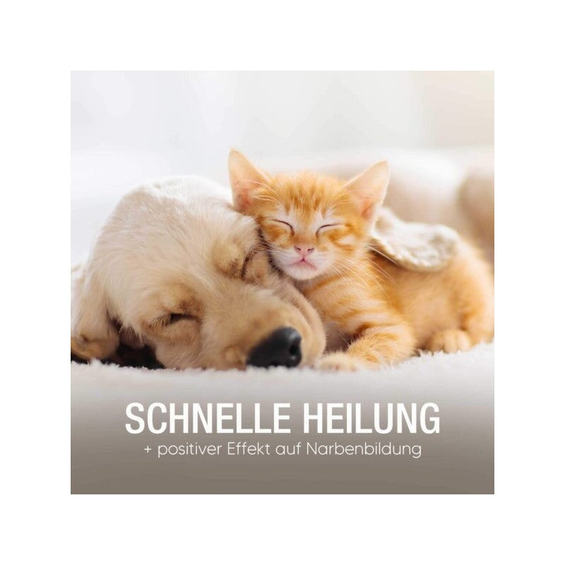 Pawlie's Pawlies Wundsalbe für Hunde & Katzen (50ml)