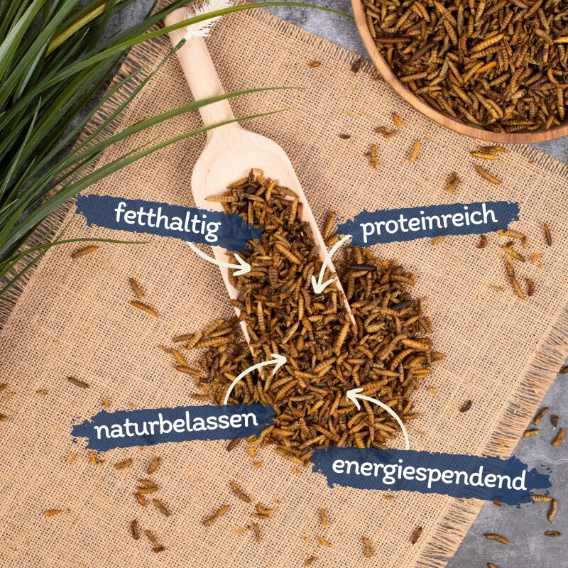 Lyra Pet Soldatenfliegenlarven 5 kg