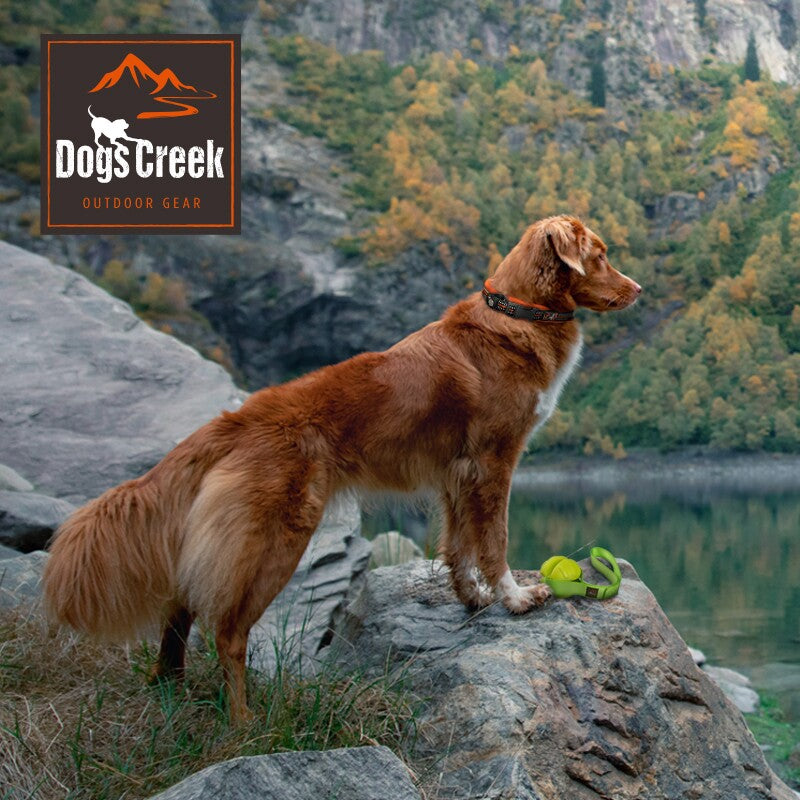 Dogs Creek Spielzeug Ball mit Schlaufe Rapid