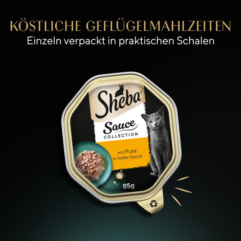 Sheba Sauce Collection 22 x 85 g mit Truthahn und Gemüse, in Sauce