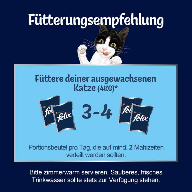 Felix Naturally Delicious Hof 10x80g