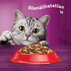 Whiskas adult száraz macskaeledel marha 3,8kg