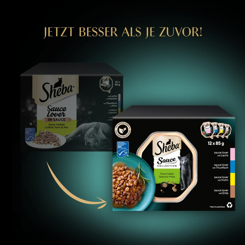 Sheba Multipack Sauce Collection Feine Vielfalt MSC 12x85 g