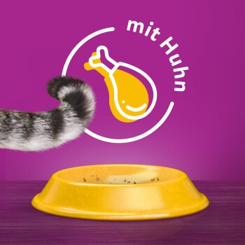 Whiskas 1+ Adult Huhn 1,9 kg