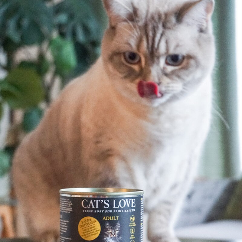CAT'S LOVE Nassfutter Katze Adult Pute 6x200 g