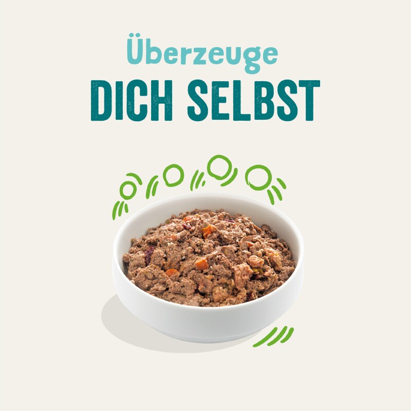 Edgard & Cooper Adult 11x150g Leckerer Lachs und Truthahn