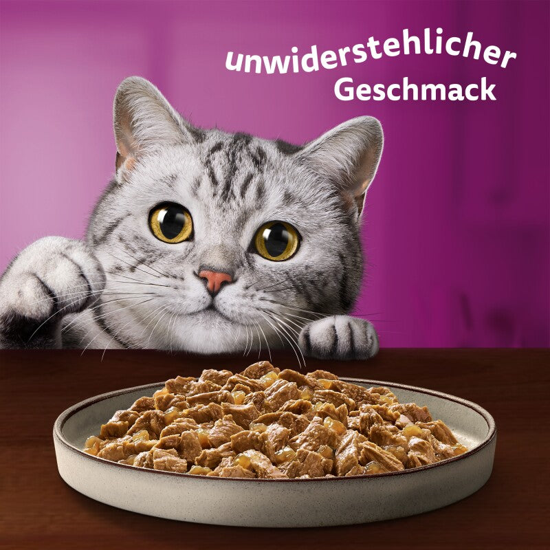 Whiskas Pure Delight Mega Pack Geflügel Ragout in Gelee 40 x 85g