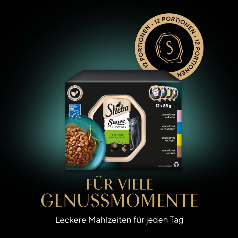 Sheba Multipack Sauce Collection Feine Vielfalt MSC 12x85 g