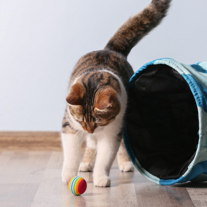 Kater Kasimir Baldrian-Spray. Rein natürlich im 30ml Pumpzerstäuber
