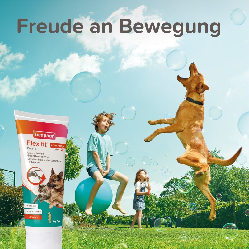 Beaphar Flexifit Snacks Hund und Katze Paste 250 g