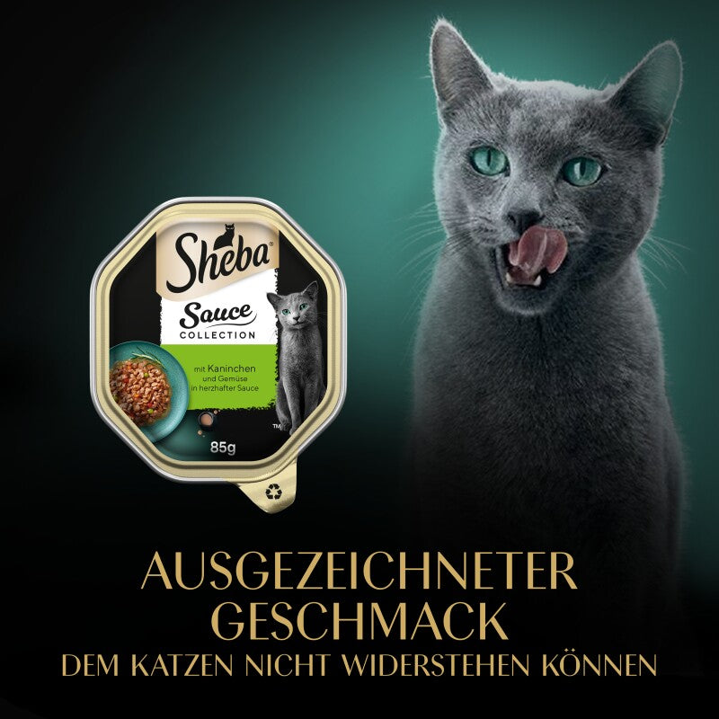 Sheba Sauce Collection 22 x 85 g mit Truthahn und Gemüse, in Sauce