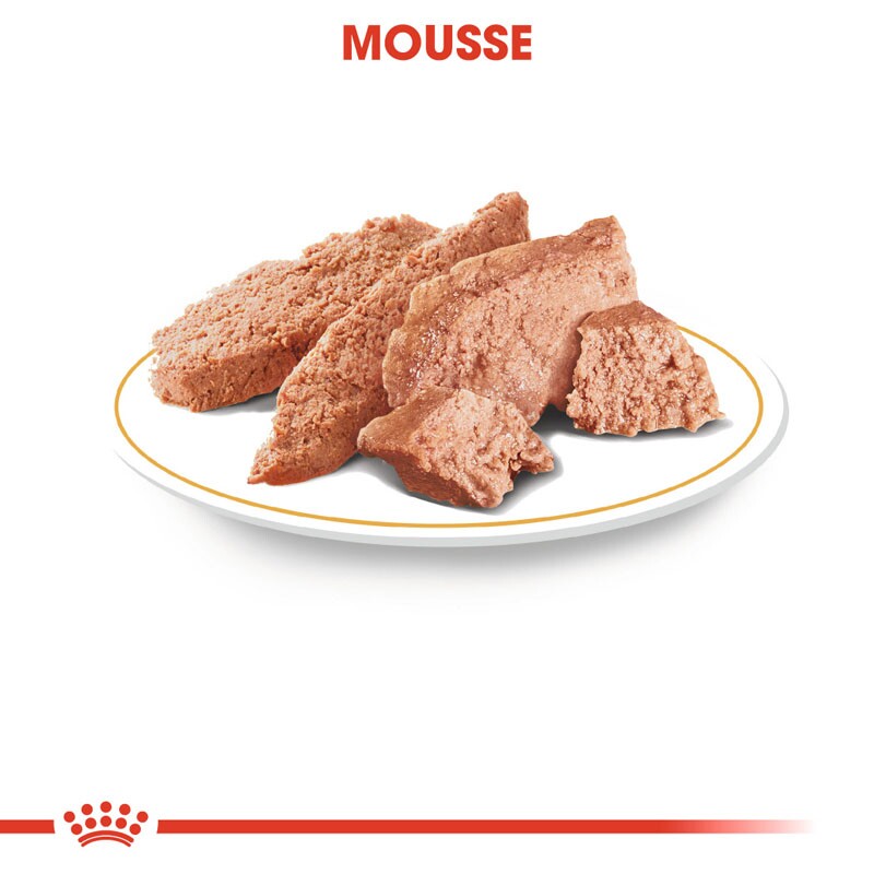 ROYAL CANIN Dachshund Adult Mousse 12x85 g