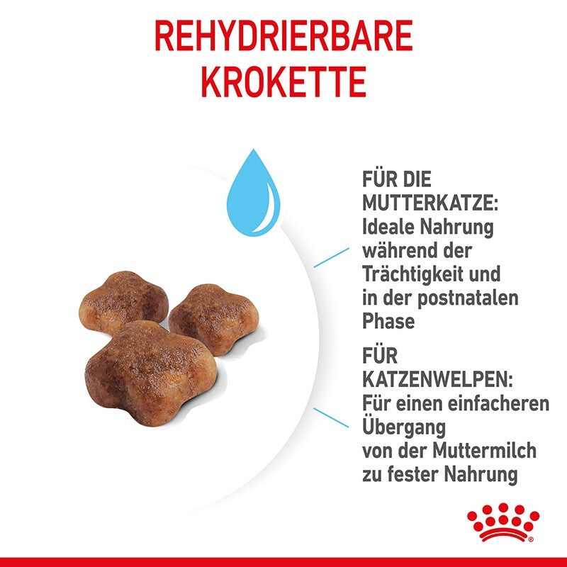 ROYAL CANIN Mother & Babycat 400 g