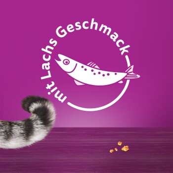 Whiskas Knuspertaschen Mega Pack 180g Lachs