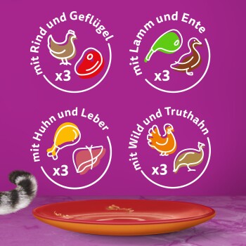 Whiskas Duo Multipack Classic Combos in Gelee 12 x 85g