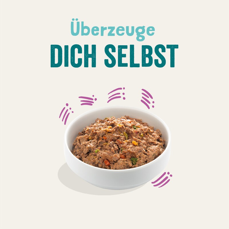 Edgard & Cooper Adult 11x150g Leckerer Lachs und Truthahn