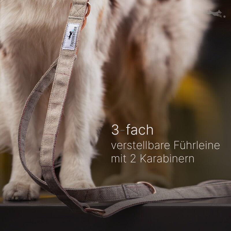 Freudentier Hundehalsband & Hundeleine im Set - 2m Führleine, 3-fach verstellbar - Classic Kollektion S-M