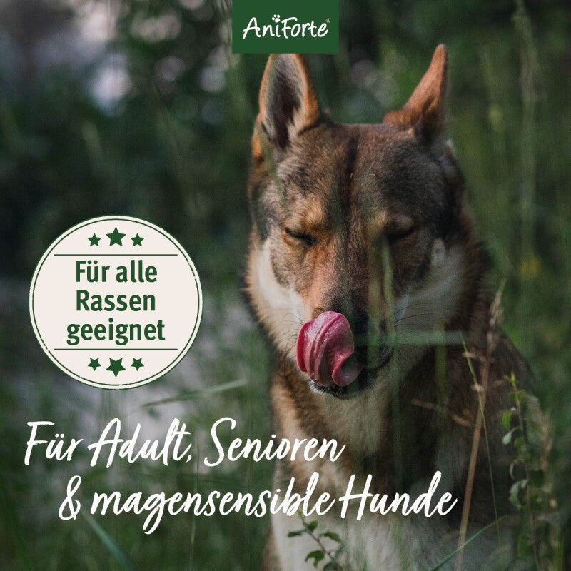 AniForte Trockenfutter FreelandDuck - Leckere Ente mit Hirse 2 kg