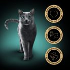 SHEBA macska tálka borjú&csirke 22x85g