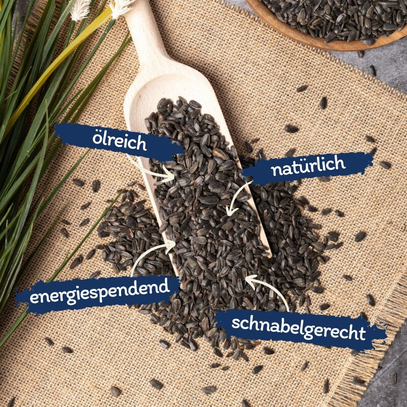 Lyra Pet Sonnenblumenkerne schwarz 10 kg