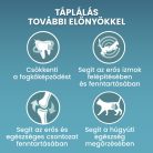 PURINA ONE Csirkében gazdag száraz macskaeledel 800g