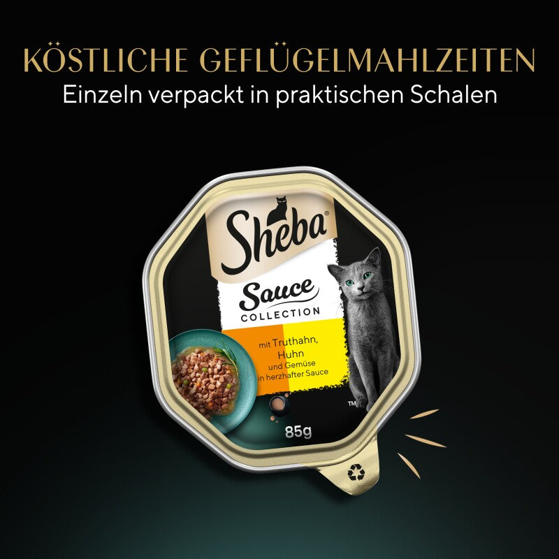 Sheba Sauce Collection 22 x 85 g mit Truthahn und Gemüse, in Sauce