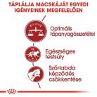 Royal Canin Feline Health Nutrition Regular Fit adult száraz macskaeledel 400g