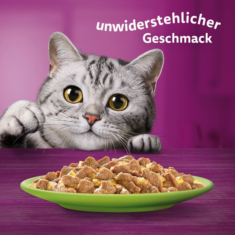 Whiskas Mega Pack 1+ Gemischte Auswahl in Gelee 40 x 85g