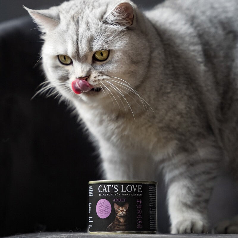 CAT'S LOVE Nassfutter Katze Adult Pute 6x200 g