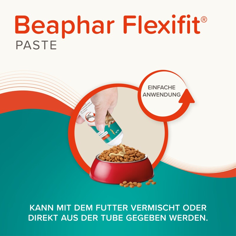 Beaphar Flexifit Snacks Hund und Katze Paste 250 g
