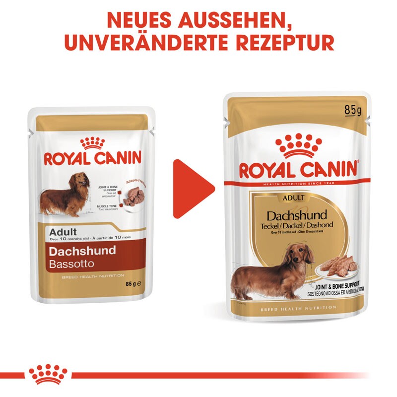 ROYAL CANIN Dachshund Adult Mousse 12x85 g