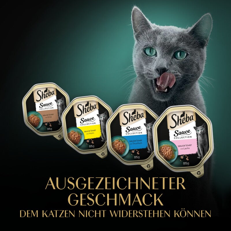 Sheba Multipack Sauce Collection Feine Vielfalt MSC 12x85 g