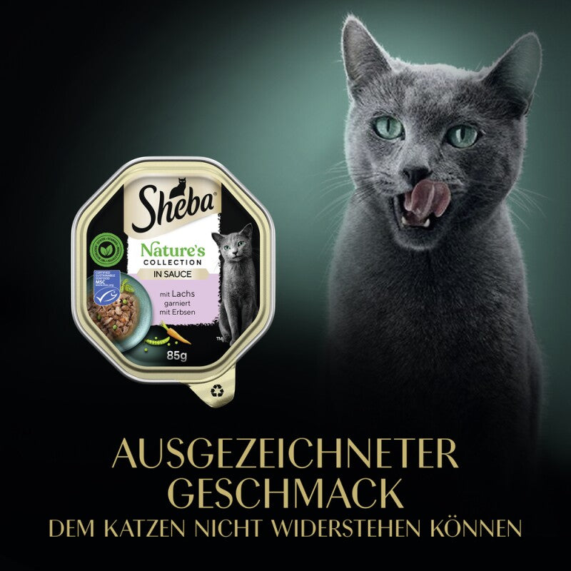 Sheba Nature´s Collection 22 x 85g in Sauce Truthahn und Pute