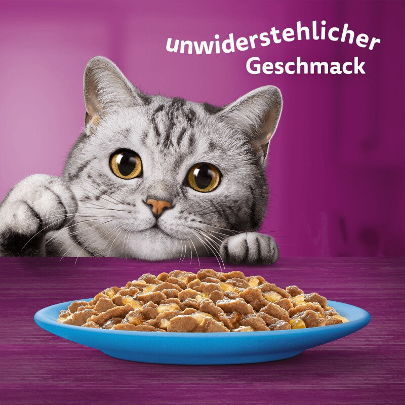 Whiskas Mega Pack 1+ Fisch Auswahl in Gelee 40 x 85g