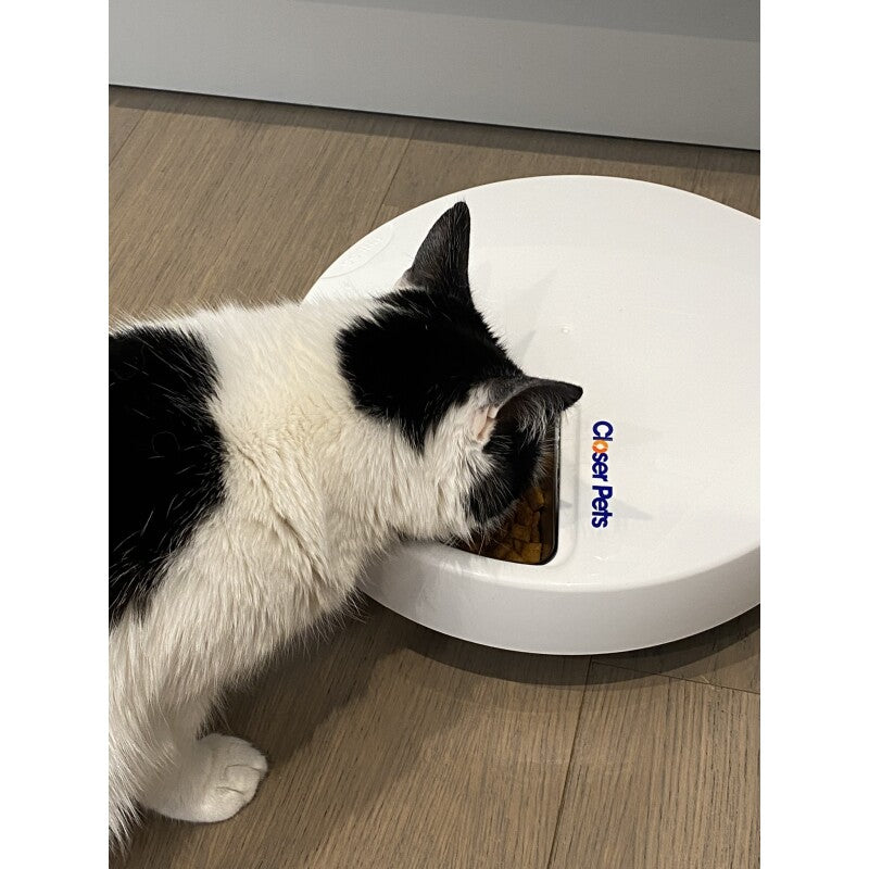 Closer Pets Edelstahlnäpfe x5, für Futterautomat für 5 Mahlzeiten (464)