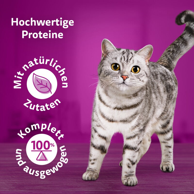 Whiskas Pure Delight Mega Pack Geflügel Ragout in Gelee 40 x 85g