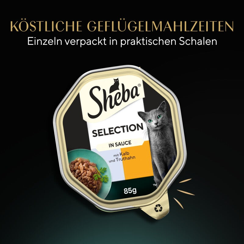 Sheba Selection in Sauce 22x85 g Kalb und Truthahn
