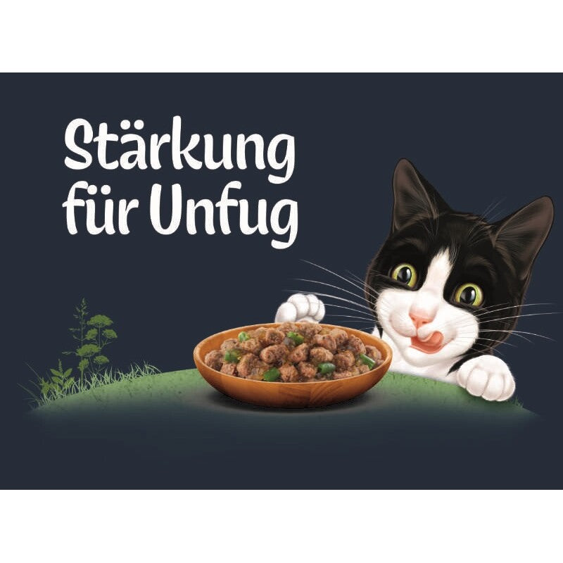 Felix Naturally Delicious Hof 10x80g
